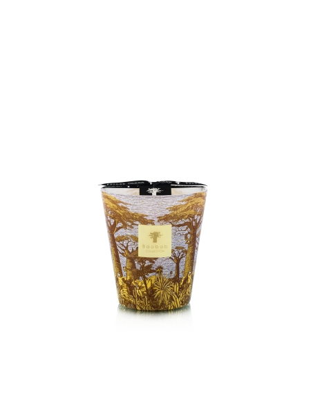 Baobab GEURKAARS MAX 16 SACRED TREES COCODY Baobab GEURKAARS MAX 16 SACRED TREES COCODY