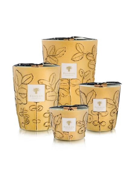 Baobab GEURKAARS MAX 10 FOLIA GARRIGUE