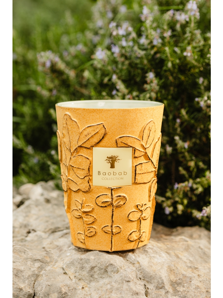 Baobab GEURKAARS MAX 10 FOLIA GARRIGUE