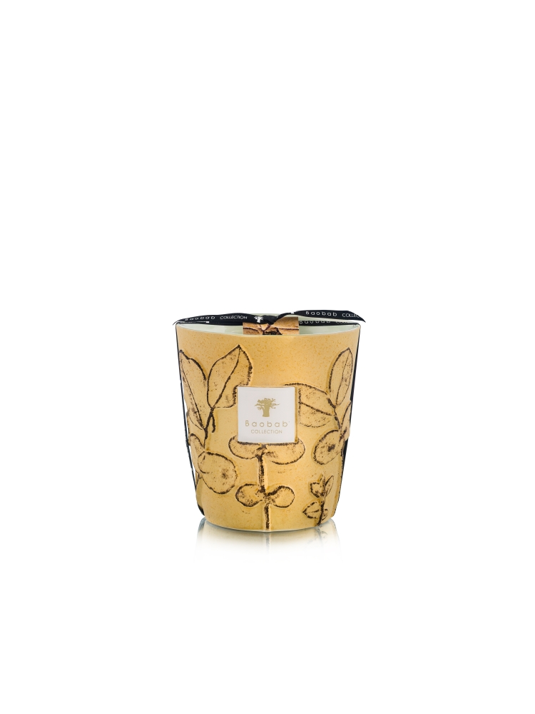 Baobab GEURKAARS MAX 16 FOLIA GARRIGUE