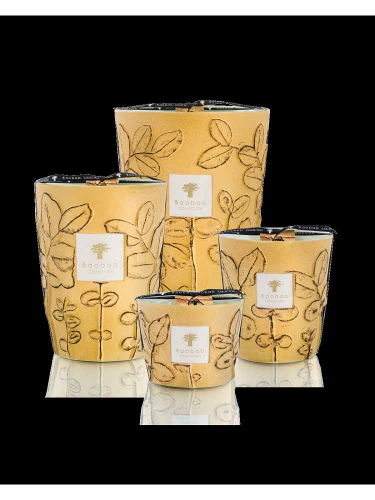 Baobab GEURKAARS MAX 16 FOLIA GARRIGUE