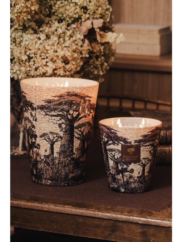 Baobab GEURKAARS MAX 10 SACRED TREES MANKONO