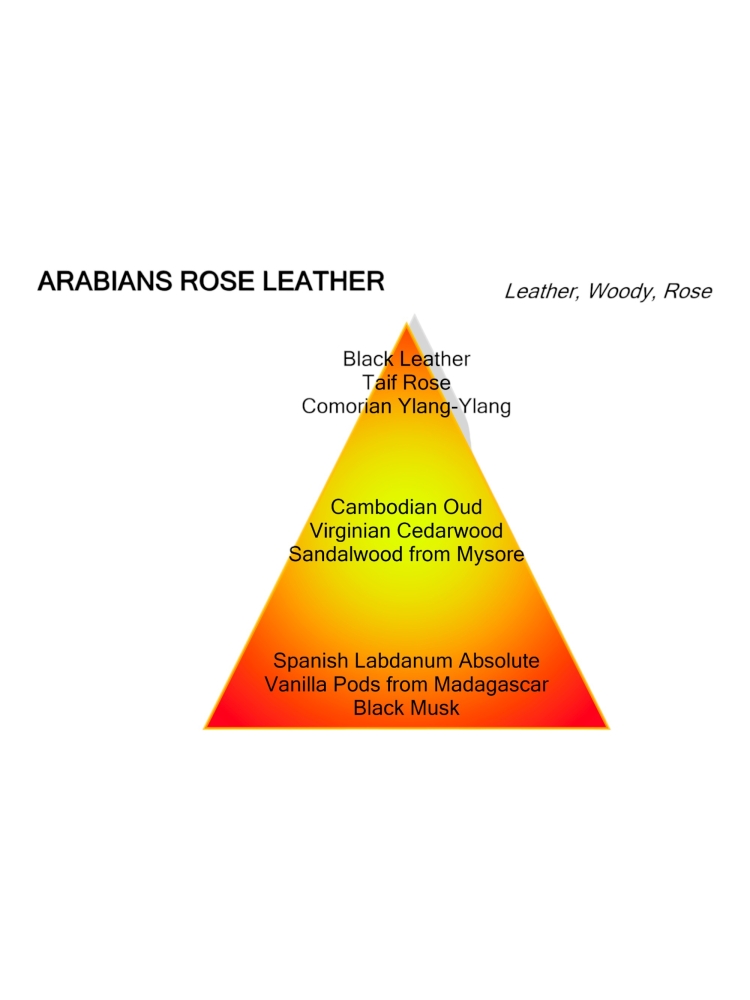 Montale Paris ARABIANS ROSE LEATHER 100ML