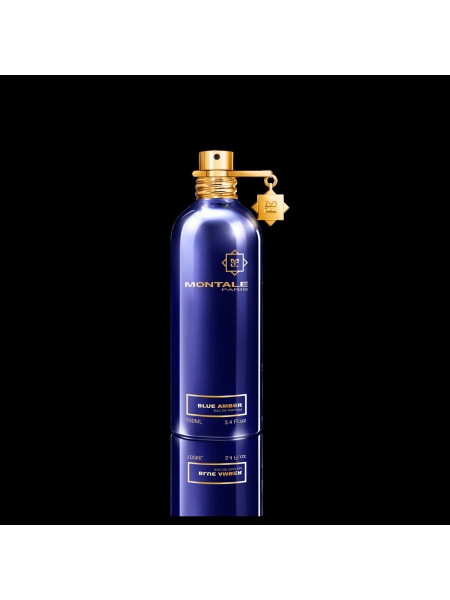 Montale Paris BLUE AMBER 100ML