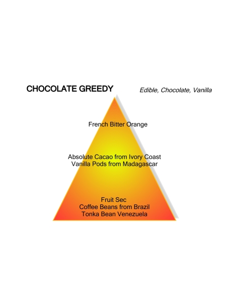 Montale Paris CHOCOLATE GREEDY 100 ML