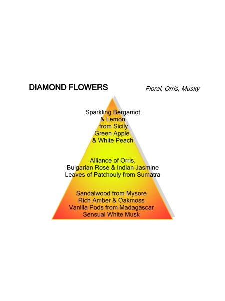 Montale Paris DIAMOND FLOWERS 100ML EDP