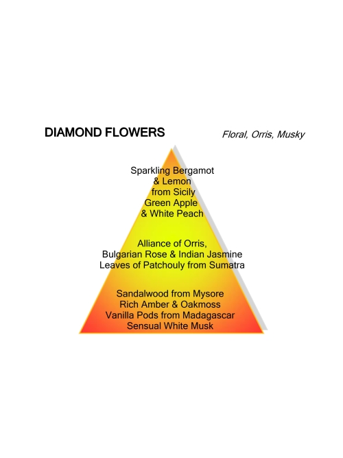 Montale Paris DIAMOND FLOWERS 100ML EDP foto 3