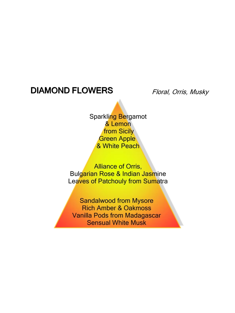 Montale Paris DIAMOND FLOWERS 100ML EDP