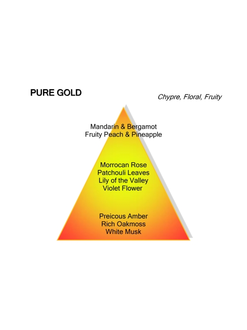 Montale Paris PURE GOLD 100ML EDP foto 3