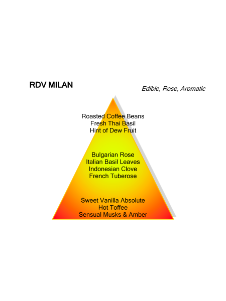 Montale Paris RENDEZ-VOUS A MILAN 100ML EDP