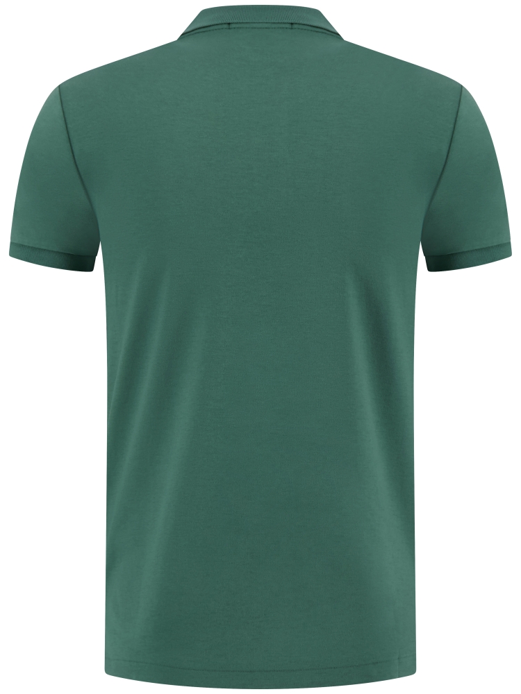 Polo Ralph Lauren 710-704319-W25 174 WASHED FOREST
