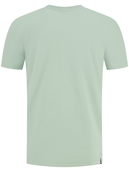 Denham 01-26-01-52-035 LAUREL GREEN