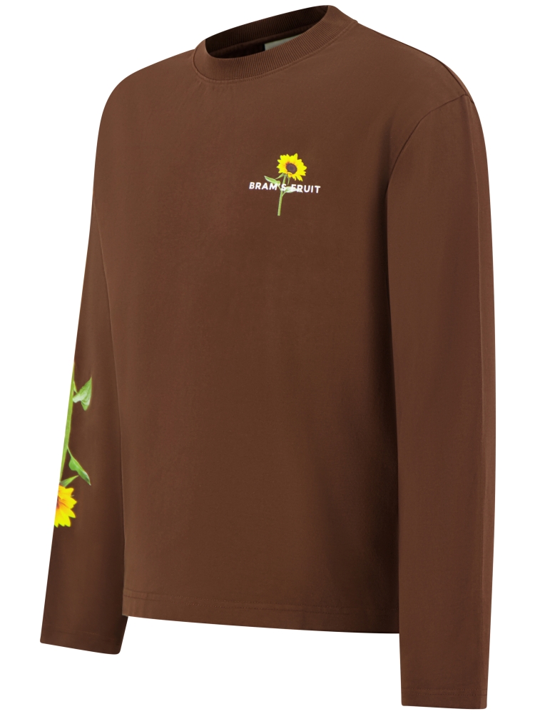 Brams fruit 2096 BROWN