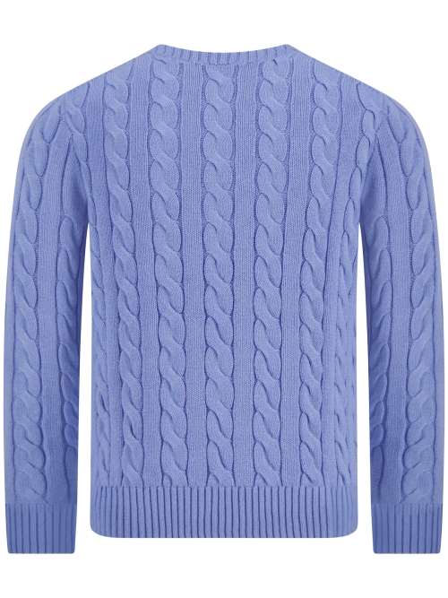 Polo Ralph Lauren  710-775885 535 AUSTIN BLUE foto 3