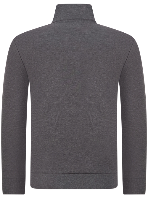Polo Ralph Lauren  710-P06234 508 WINDSOR HEATHER foto 3