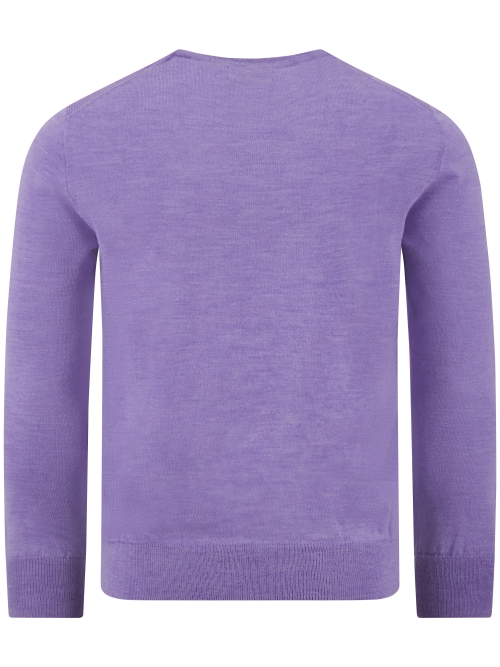 Polo Ralph Lauren  710-954589 008 H. PURPLE foto 3