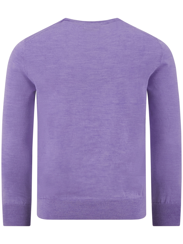 Polo Ralph Lauren 710-954589 008 H. PURPLE