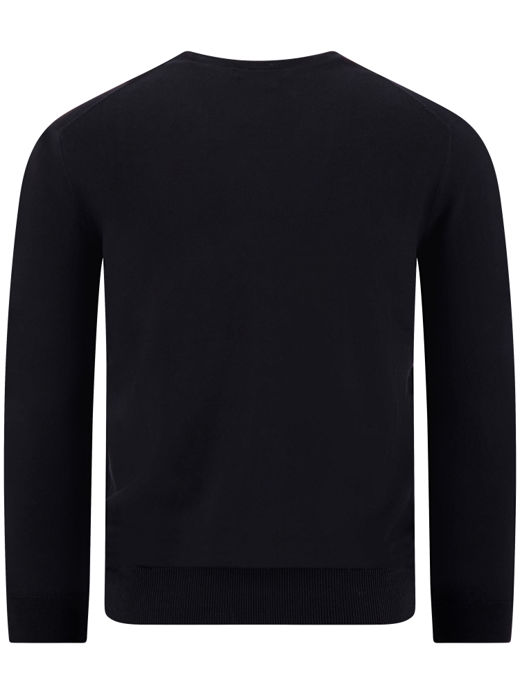 Polo Ralph Lauren 710-670789-ST 004