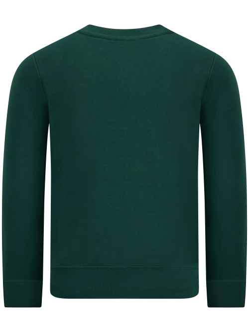 Polo Ralph Lauren  710-981794 001 MOSS AGATE foto 3